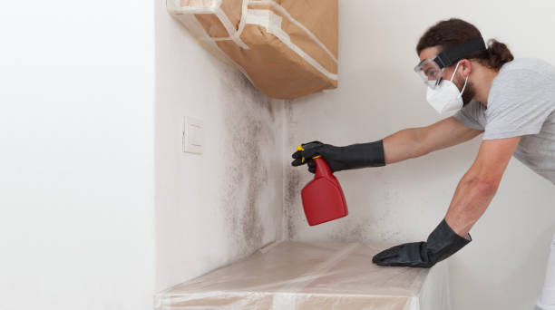 Professional Mold Cleanup technician working in Centerport, NY